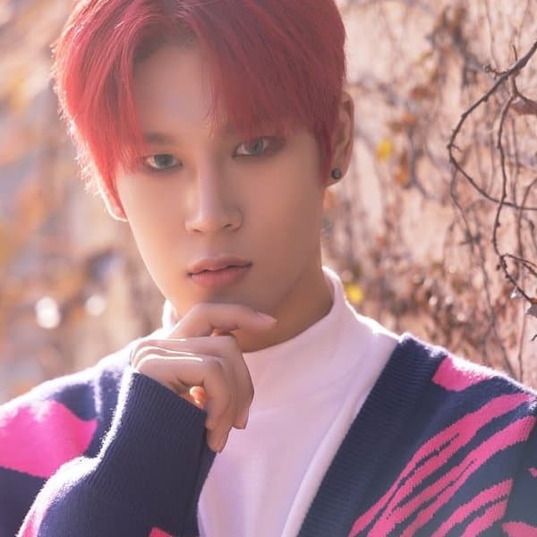 Chanwook