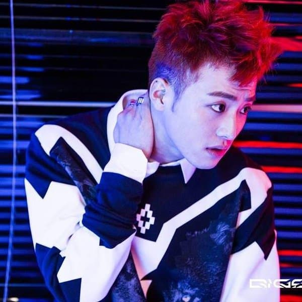 Feeldog