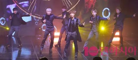 SNUPER — Snoofer Showcase