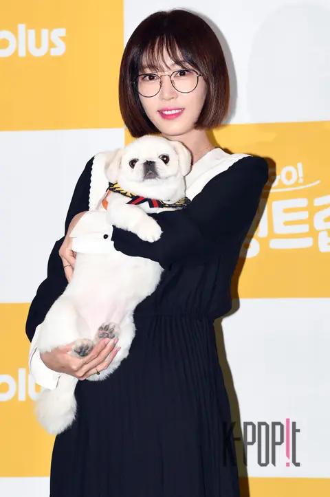Kang Ye-won — Petsgo Production Briefing