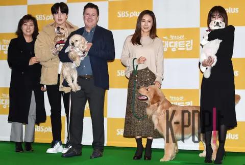 Group — Petsgo Production Briefing — 2018-11-27