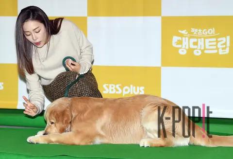 Moon Jung-hui — Petsgo Production Briefing