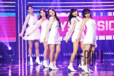 BUSTERS — Show Champion