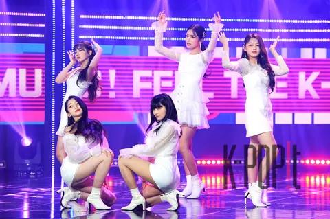 BUSTERS — Show Champion