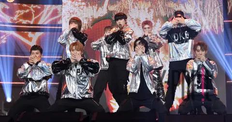 DARKB — Show Champion