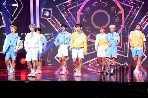 TOO — Show Champion