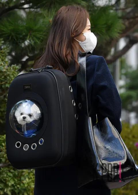 Min-kyung Kang (Davichi) — Arrival