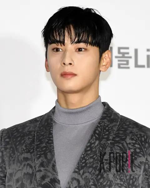 Cha Eun-woo — AAA Red Carpet