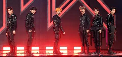 TNX — Showcase
