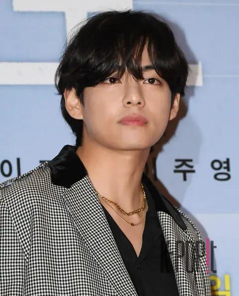 V (BTS) — Broker VIP Premiere