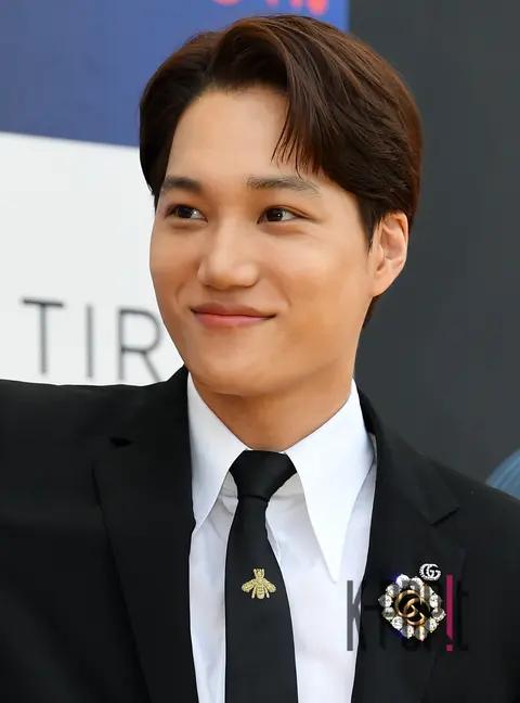Kai (EXO) — Chungryeo Series Awards Red Carpet