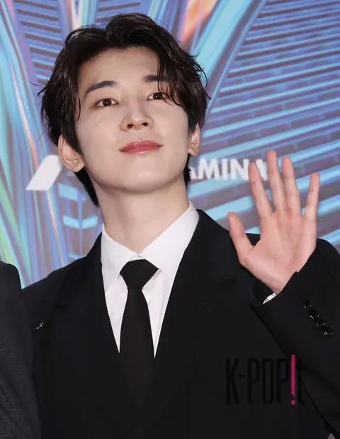 Wonwoo (SEVENTEEN) — Golden Disc Awards Red Carpet