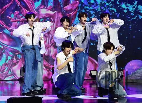 Ark — Showcase
