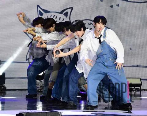 Ark — Showcase