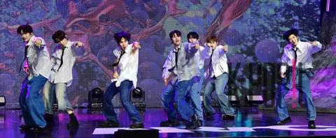 Ark — Showcase