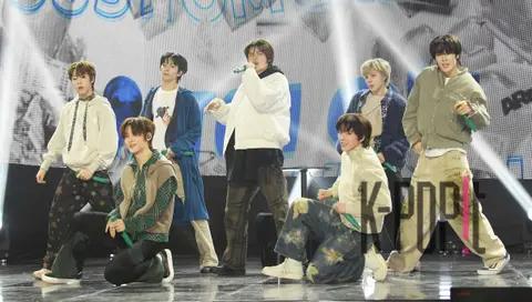 Ark — Showcase