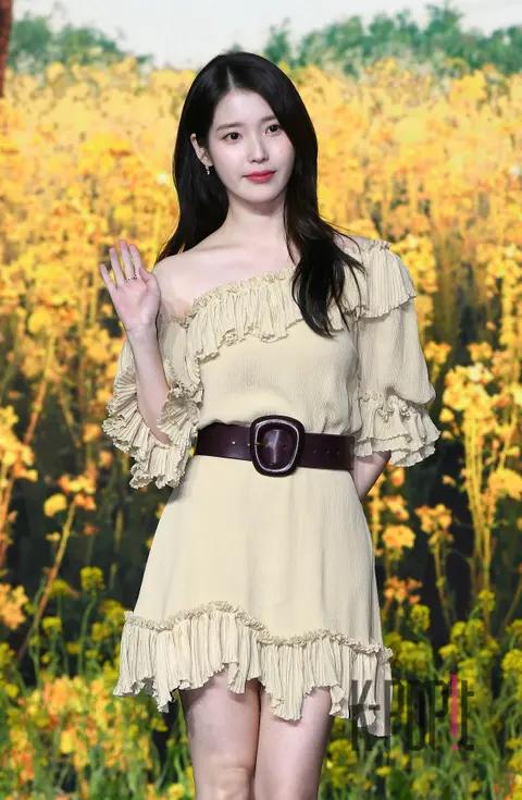 IU — Completely Fooled Production Briefing