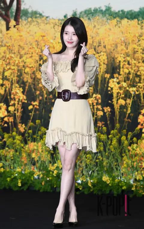 IU — Completely Fooled Production Briefing