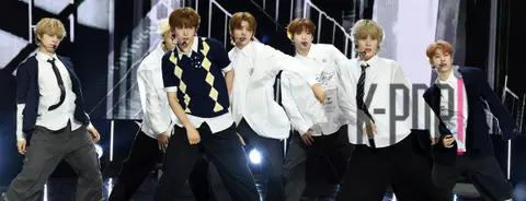 Ark — The Show