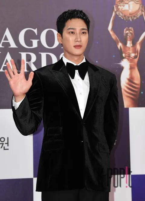 Ahn Bo-hyun — Blue Dragon Film Awards Red Carpet